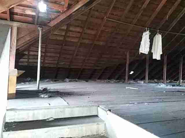 Testing again(30).jpg